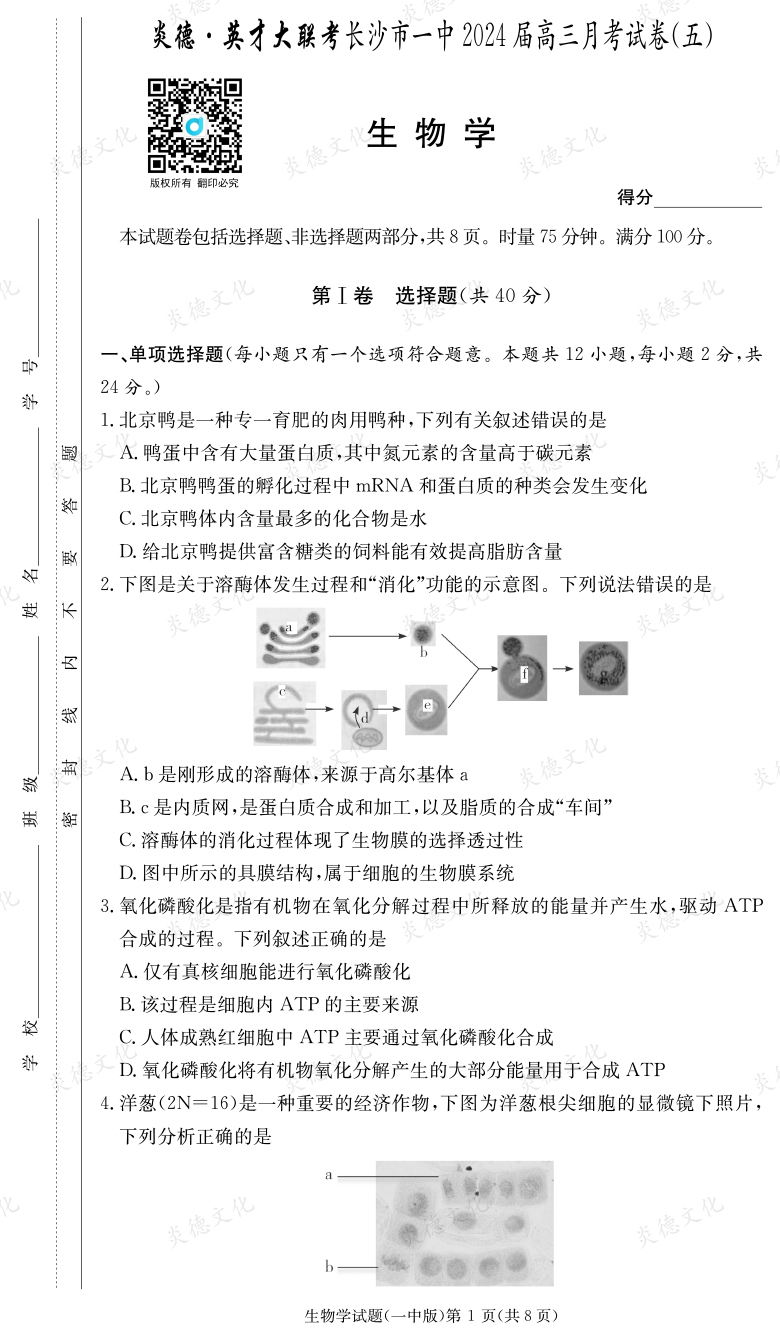[生物]炎德英才大聯(lián)考2024屆長(zhǎng)沙市一中高三5次月考